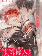 魔笛MAGI本篇漫画封面